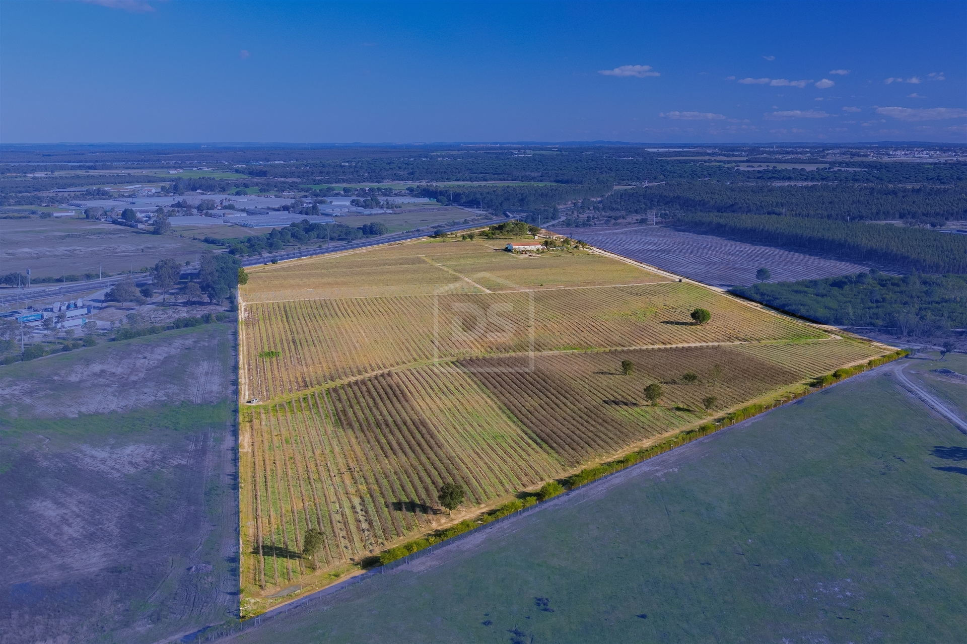 Herdade