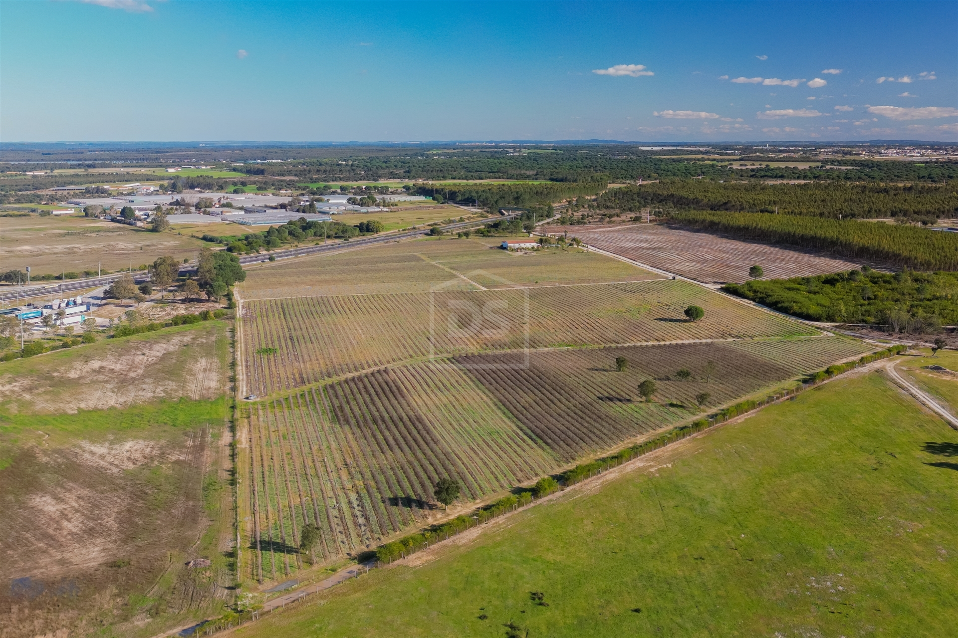 Herdade